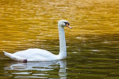 《96 号公路》制作者新作《Tides of Tomorrow》Steam页面 支持简繁体中文