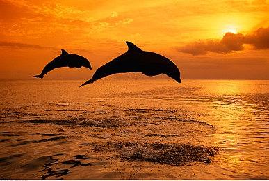 Steam喜加一 反乌托邦游戏《旁观者》免费领