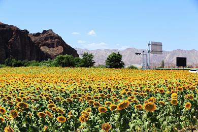 《战神：诸神黄昏》幕后视频完结篇 开发者感谢社区