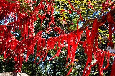 反乌托邦游戏《纸飞机效应》8月12日发售 登陆多平台